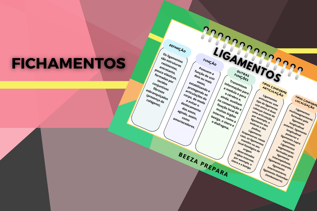 BeeZa Prepara: Método de Fichamentos