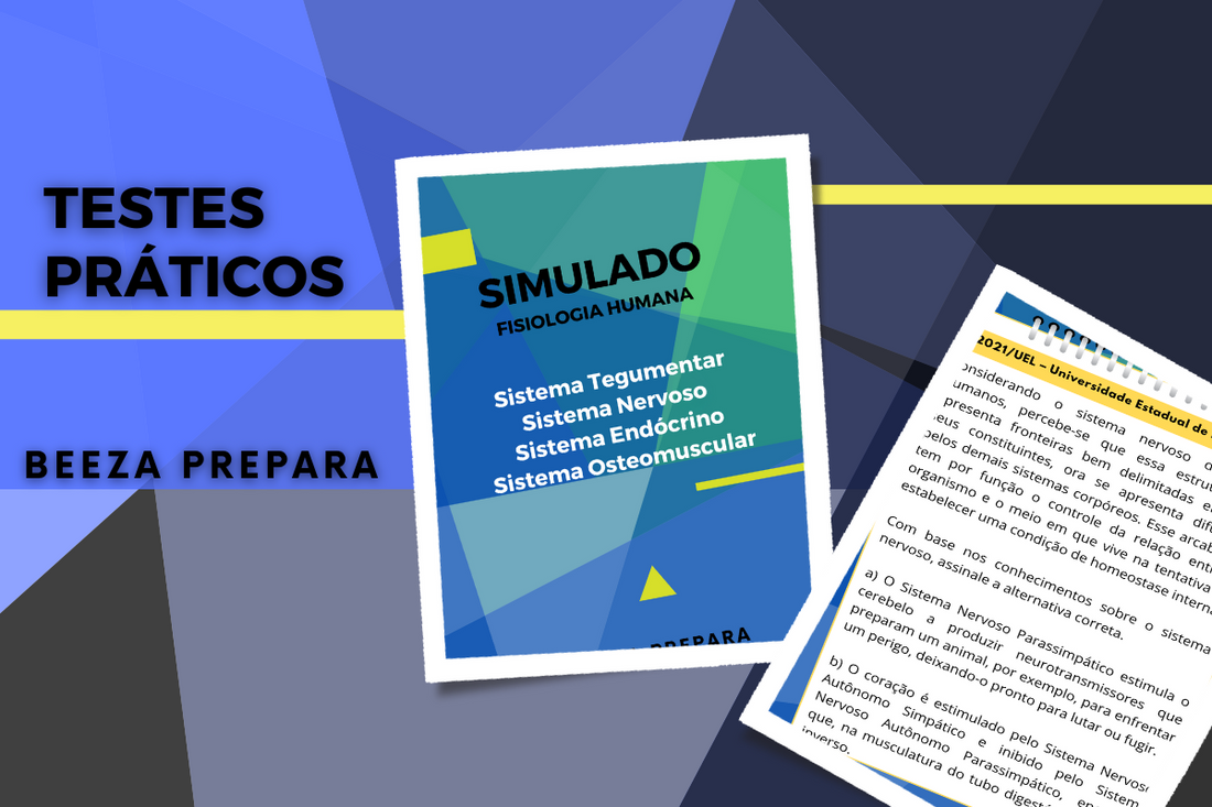 A Importância da Prática para o Sucesso no Vestibular