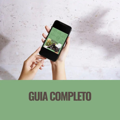 E-book Guia completo Vida Felina 